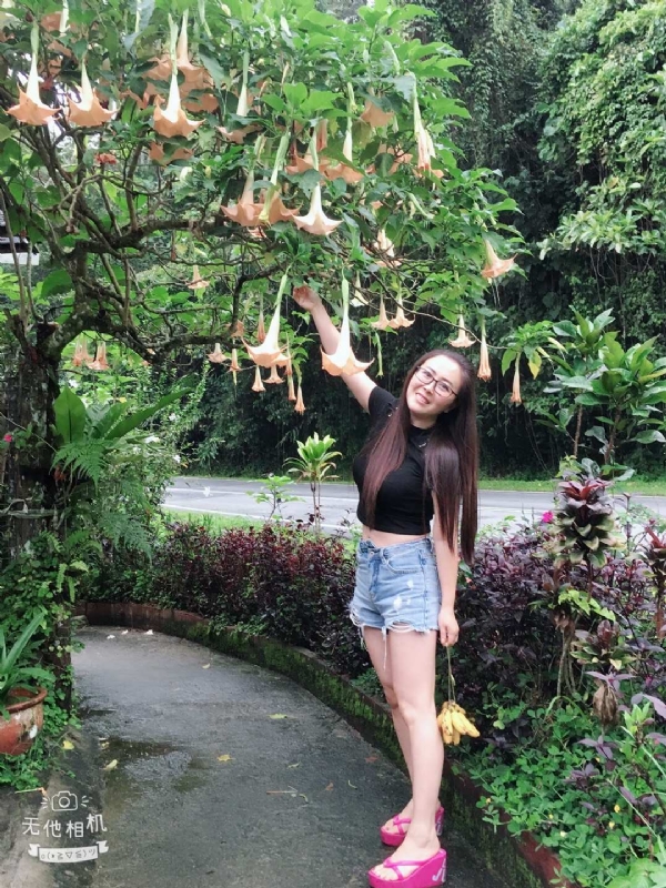 离异单身无子的第二张照片--徐州相亲服务中心