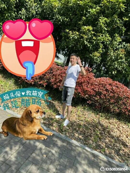 我若不坚强谁替我勇敢的第一张照片--徐州相亲服务中心