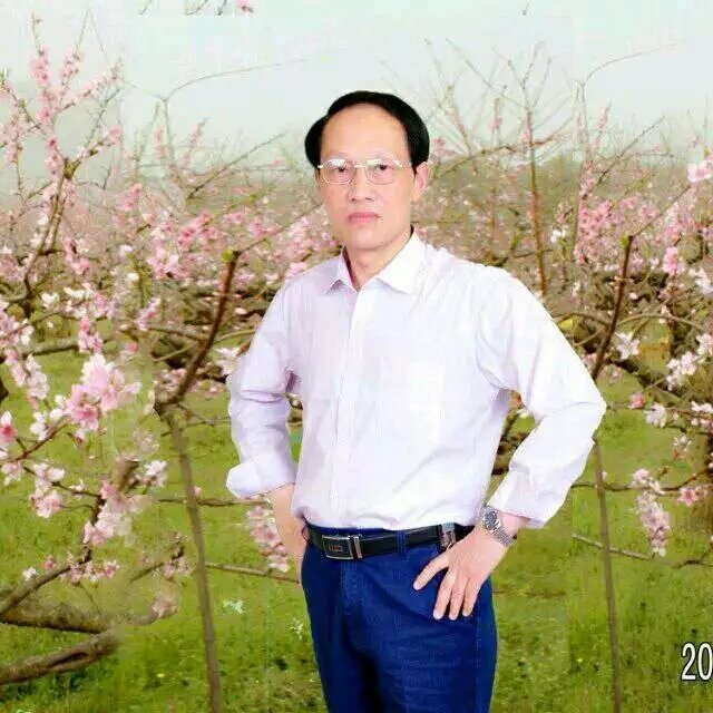 枫叶的第一张照片--徐州相亲服务中心