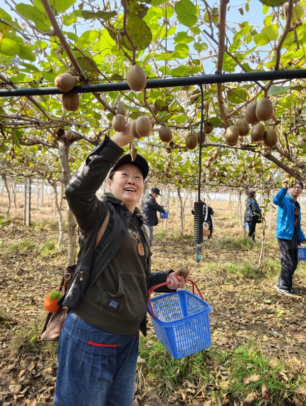 夜莺的第四张照片--徐州相亲服务中心